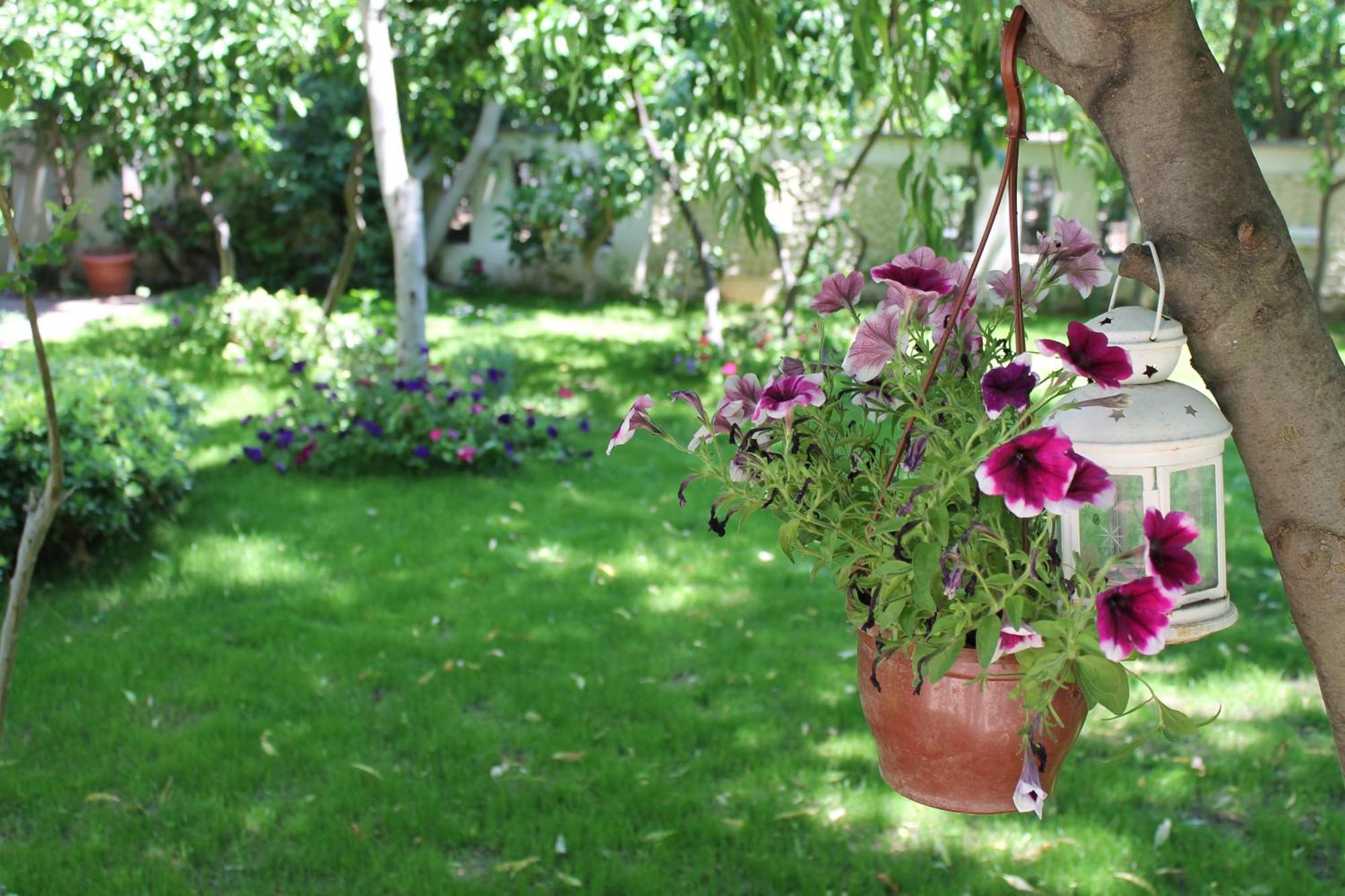Bella Garden Hotel Bodrum Buitenkant foto